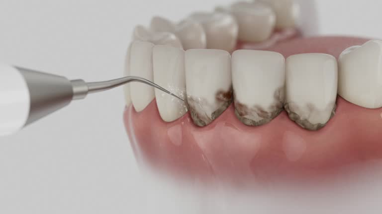Reliable Dental contractor in Columbia, MS by Dentist Open Now